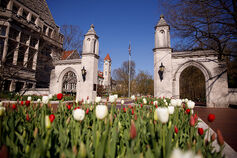 Tulips bloom on a spring day in front of the Sample Gates.